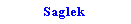 Text Box: Saglek 